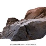 深入解析BT下载软件的主要特点与优势 5i0e39hm