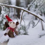 猫猫云为什么不能用了:探究服务中断的原因与解决方案 7kwl9889p5