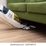 猫狗生活的趣味与挑战:宠物陪伴下的日常 7mdply