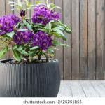 深入解析CB0171-97E:特性、应用与市场前景 hwcta