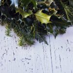 猫咪头条应用市场:探索最受欢迎的猫咪资讯与互动平台 jpma8