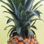 深入解析CFW SLH3:功能特点与应用场景 s8gyyoyu