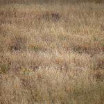 猫咪头条视频怎么看不了:解决无法观看视频的常见问题与技巧 zq8uxki