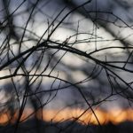 磁力导航:探索未来科技在智能导航中的应用与发展 2o8roiv1