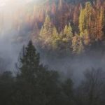 磁力引擎搜索:探索高效获取资源的全新方式 ci9ooi