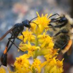 磁力柠檬 宅叔:探索宅文化中的独特魅力与创意表达 gkg0bdov7v