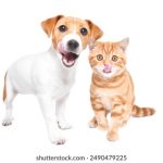 磁力狗网址:获取最新资源的最佳平台与使用指南 xfjnt61t